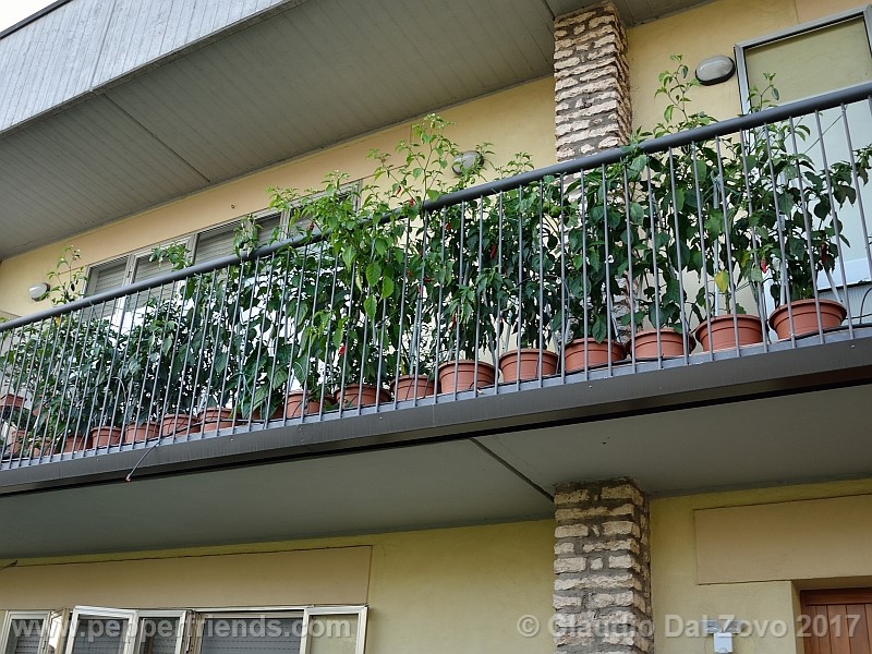 balcone3.jpg