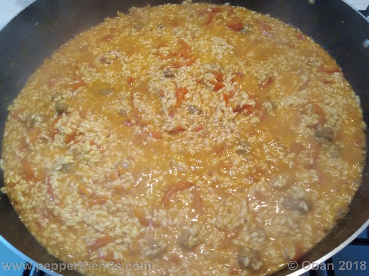 Risotto All'Aji Amarillo - 15.jpg