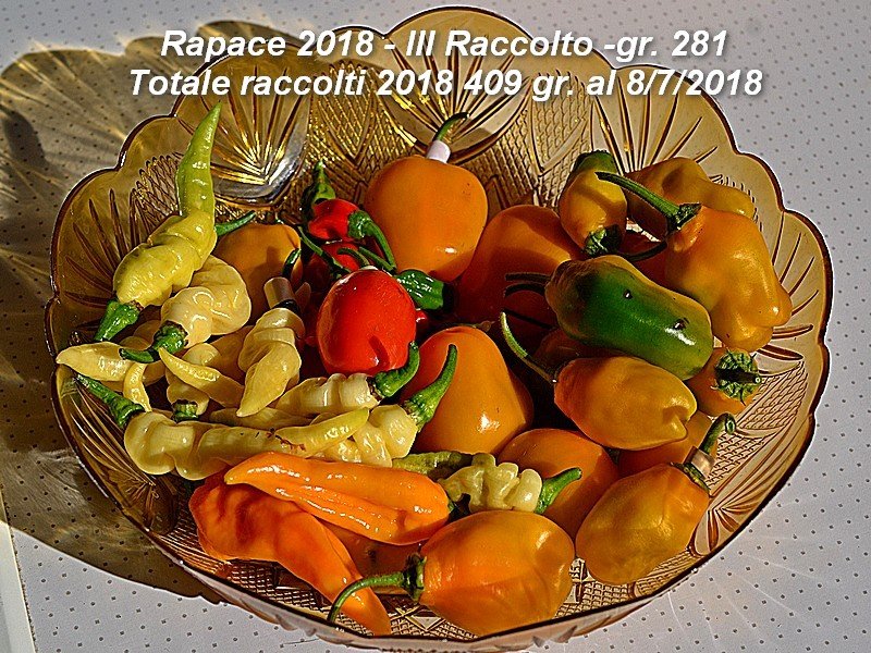 Raccolto III 2018.jpg