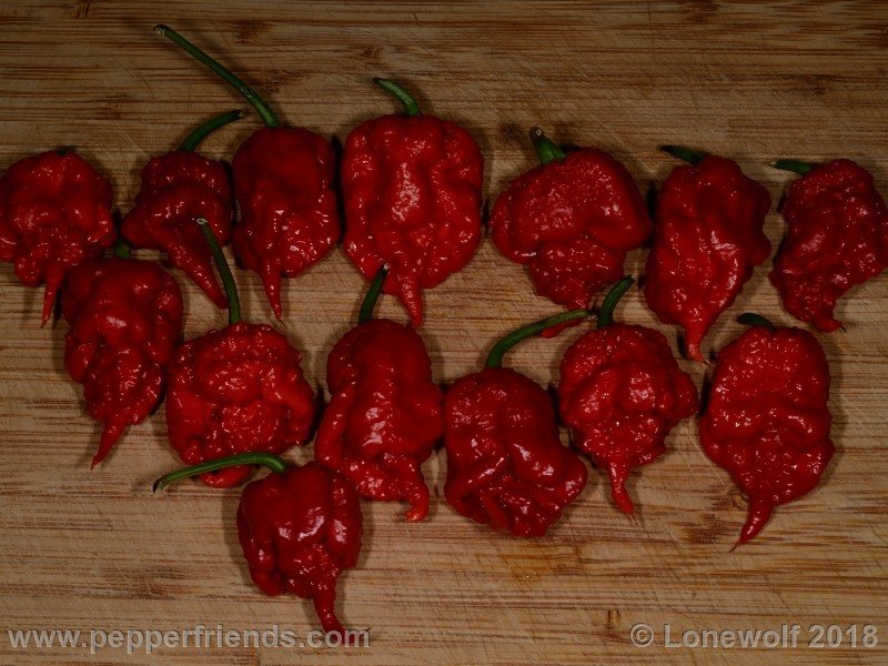 carolinareaper_frutti.jpg