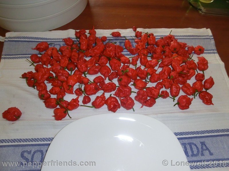 carolinareaper_frutti.jpg