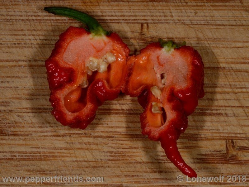 carolinareaper_fruttotagliato.jpg