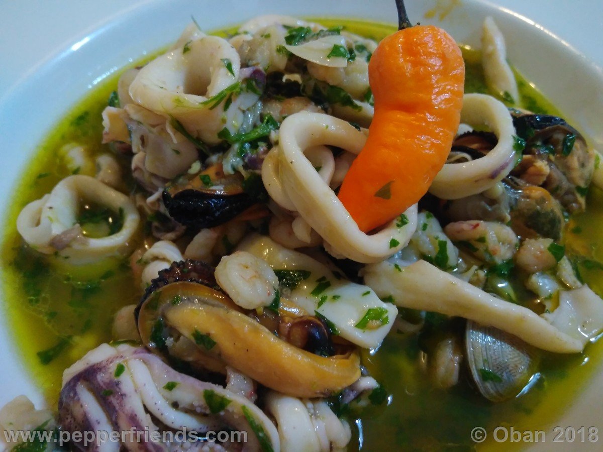 Antipasto Di Mare Caldo - 01.jpg