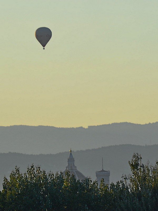 Mongoliera sulla Cupola del Brunelleschi.jpg