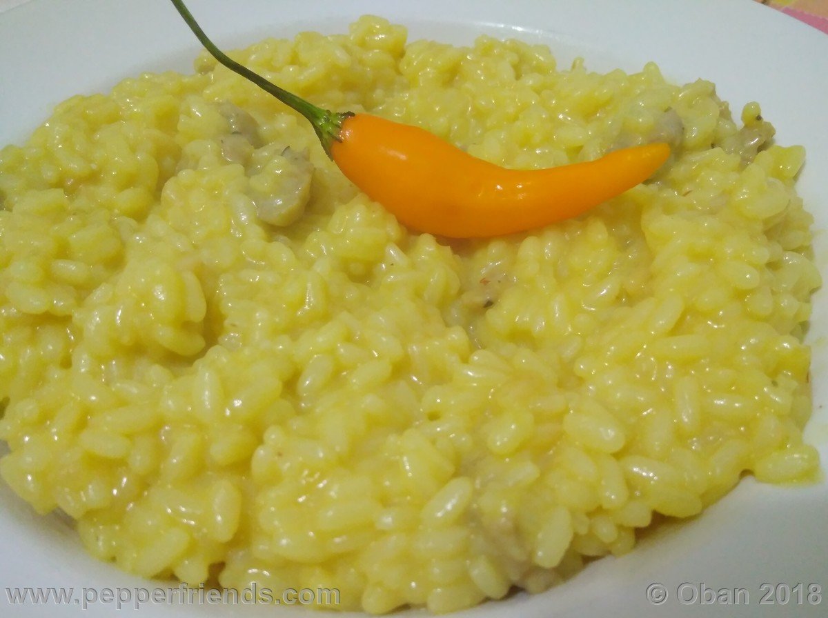 Risotto All'Aji Amarillo - 19.jpg