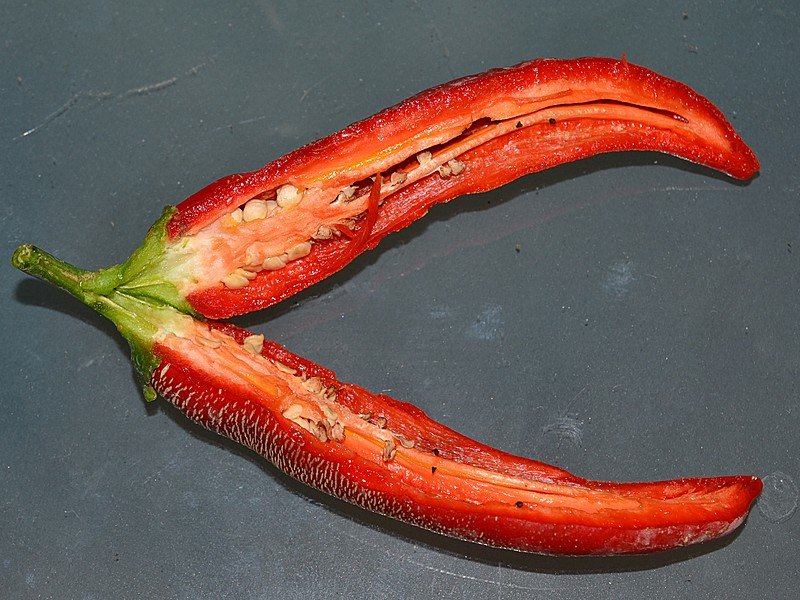 Albanian Red Hot - Frutto aperto.jpg