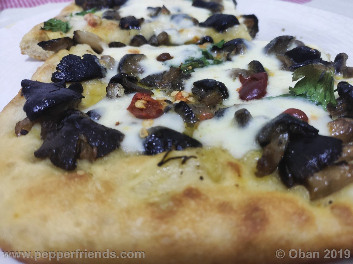 Pizza Funghi Morette - 01.jpg