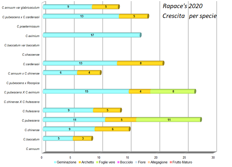 R2020 - Crescita.png