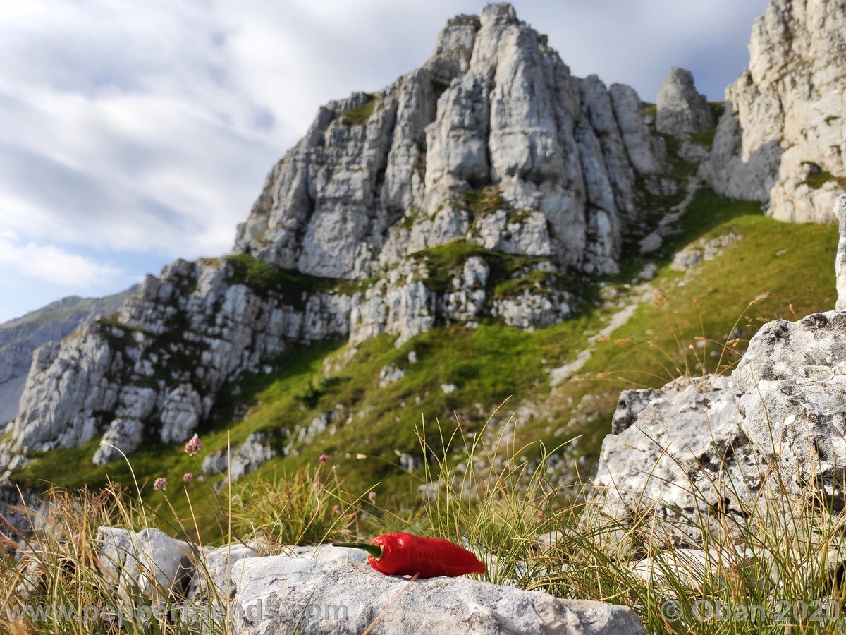 Monte Sirente - 15.jpg