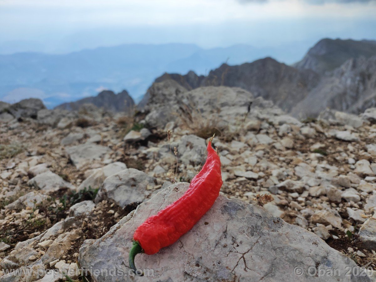 Monte Sirente - 36.jpg