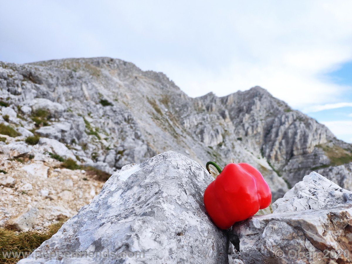 Monte Sirente - 25.jpg