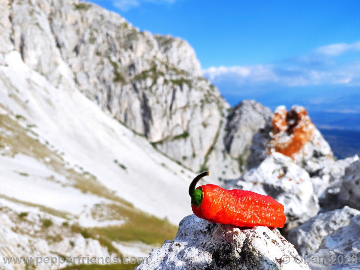 Monte Sirente - 18.jpg