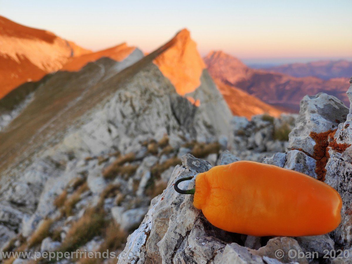 Monte Tremoggia & Monte Camicia - 26.jpg