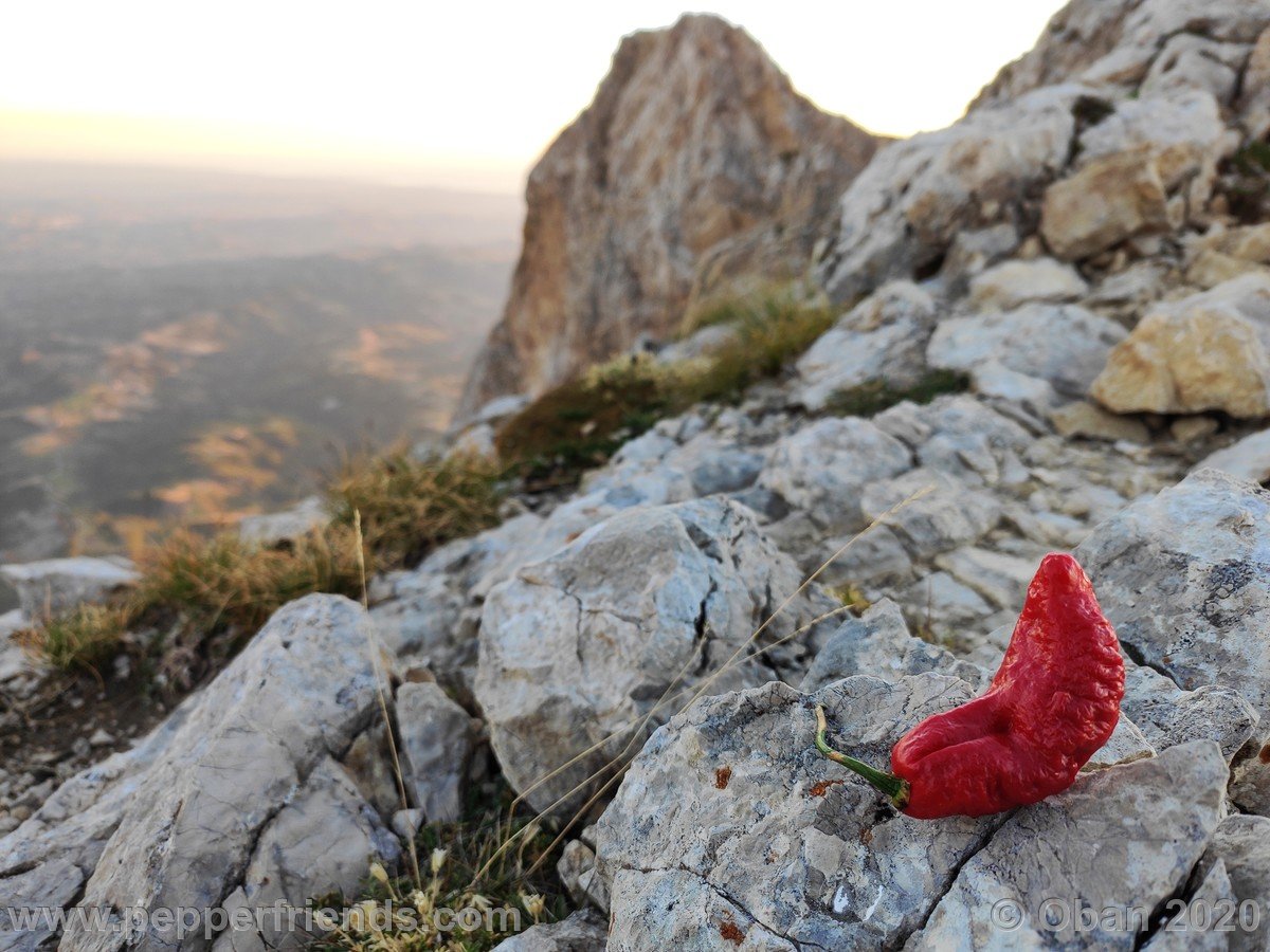 Monte Tremoggia & Monte Camicia - 22.jpg