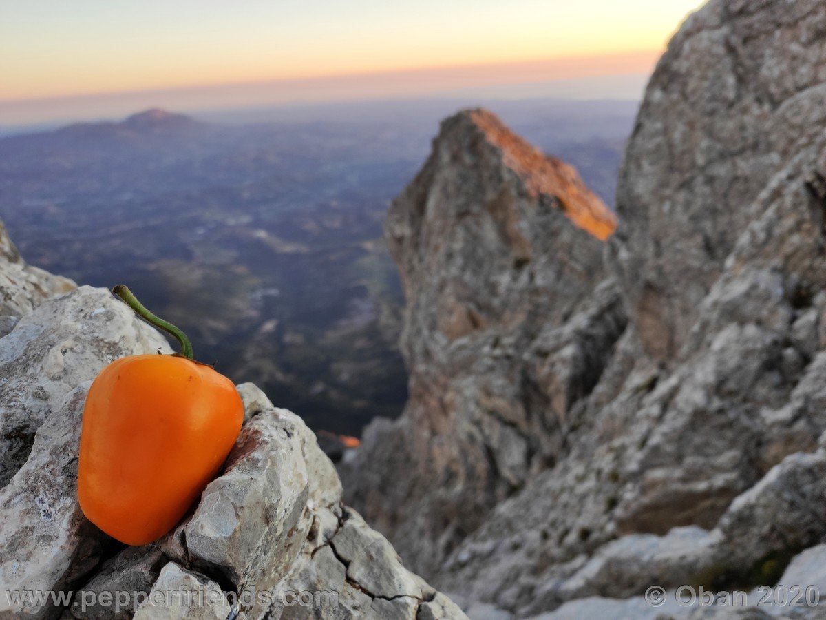 Monte Tremoggia & Monte Camicia - 20.jpg