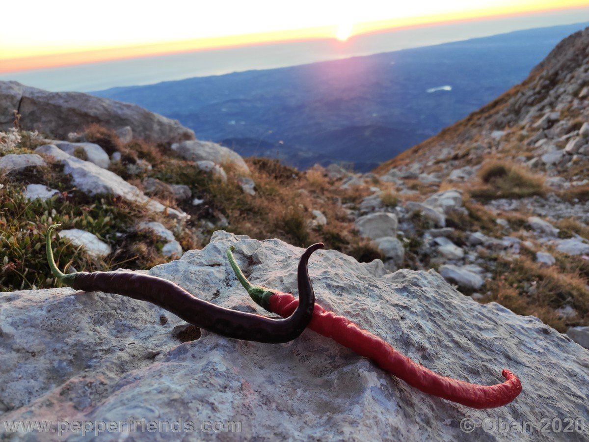 Monte Tremoggia & Monte Camicia - 12.jpg