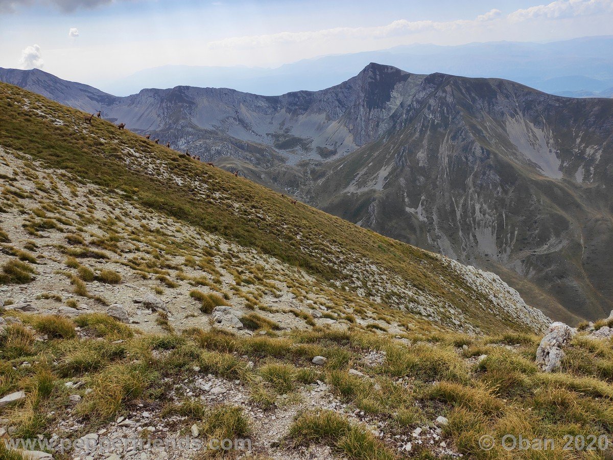 Monte Corvo Per La Cresta Ovest - 13.jpg