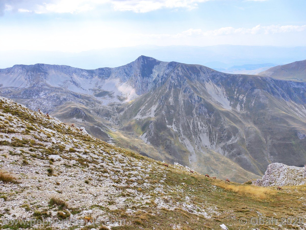 Monte Corvo Per La Cresta Ovest - 20.jpg