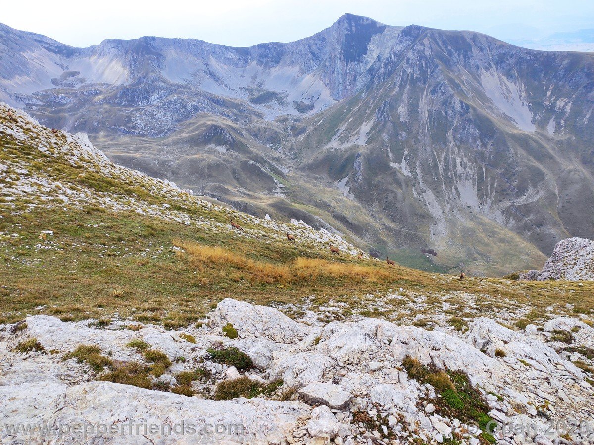 Monte Corvo Per La Cresta Ovest - 19.jpg