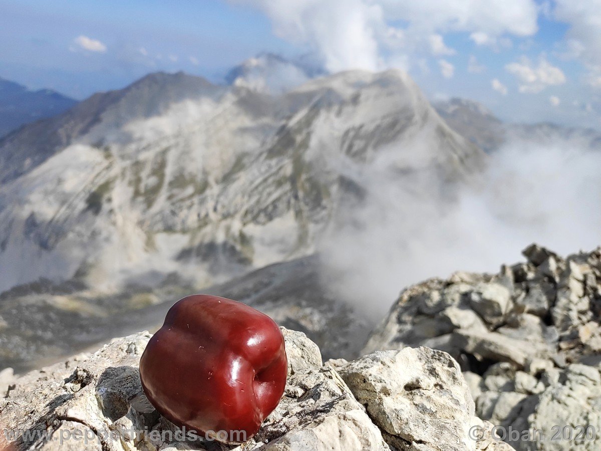 Monte Corvo Per La Cresta Ovest - 42.jpg