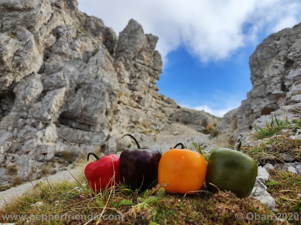 Grotta Dell'Oro In Val Maone - 50.jpg