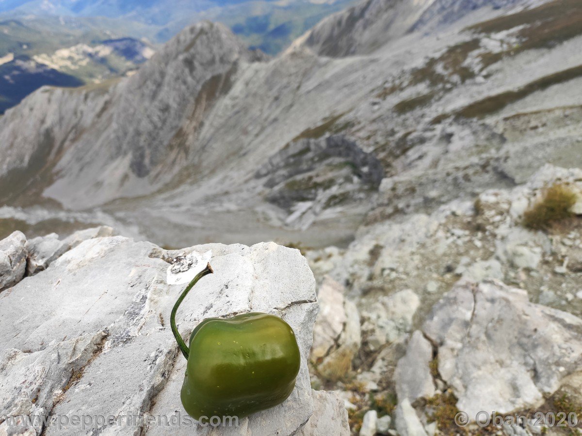 Monte Corvo Per La Cresta Ovest - 23.jpg