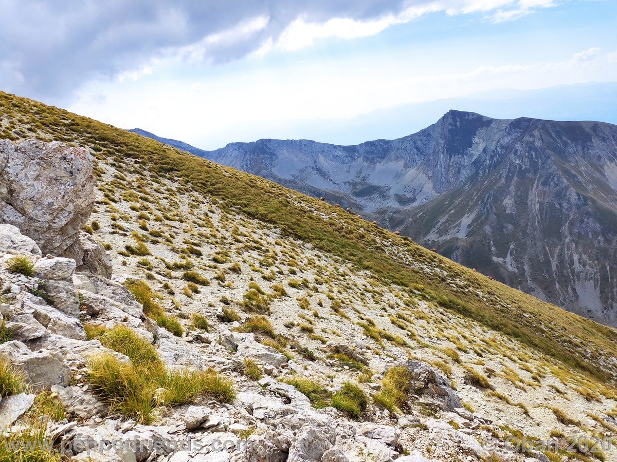 Monte Corvo Per La Cresta Ovest - 15.jpg