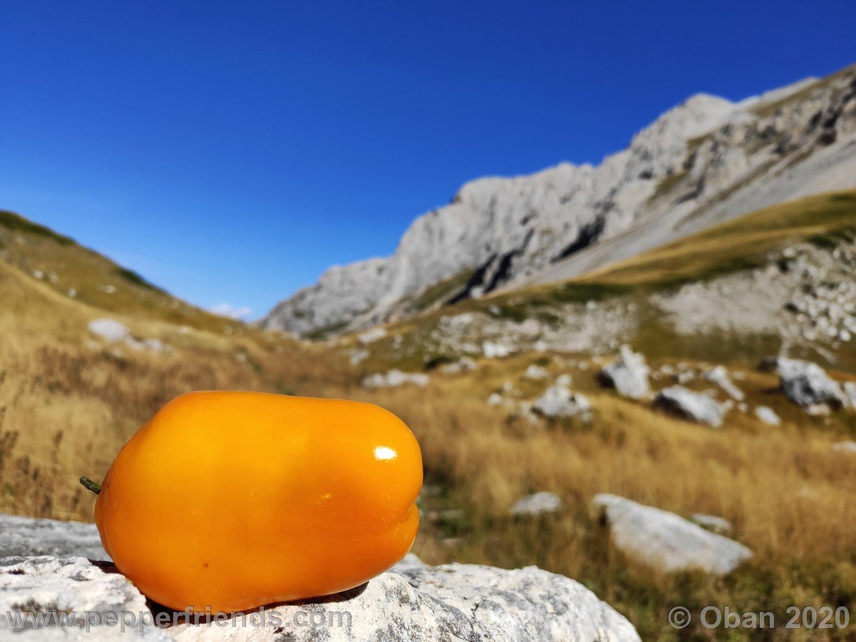 Grotta Dell'Oro In Val Maone - 13.jpg