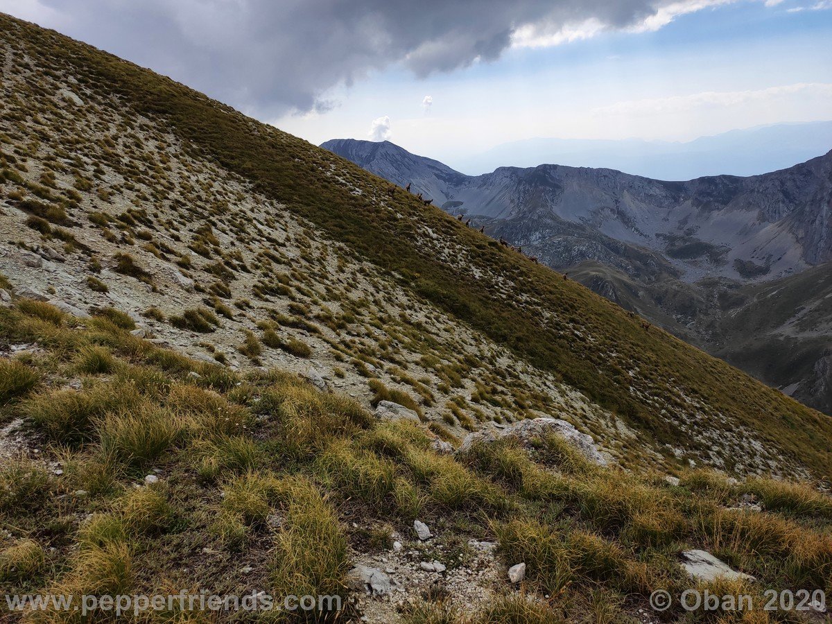 Monte Corvo Per La Cresta Ovest - 12.jpg