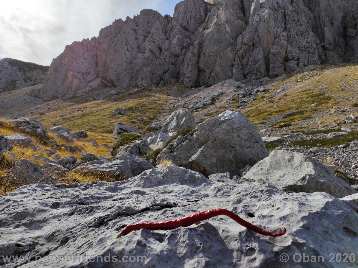 Grotta Dell'Oro In Val Maone - 40.jpg