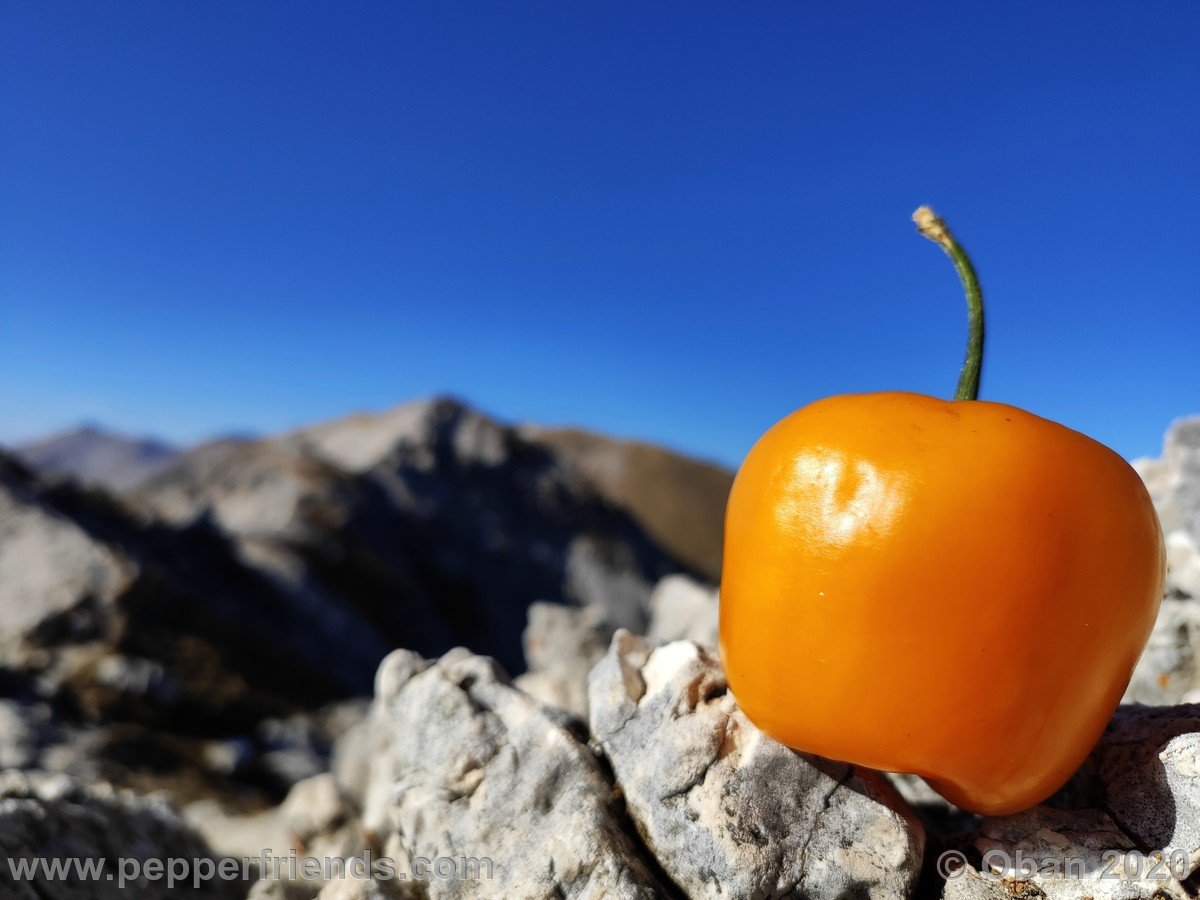 Cima Vado di Piaverano - 20.jpg