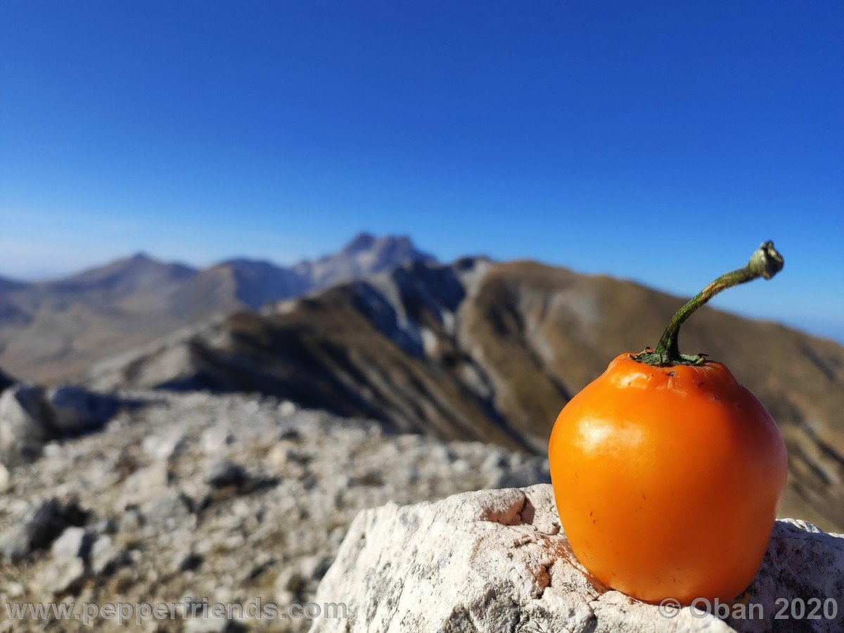 Cima Vado di Piaverano - 30.jpg