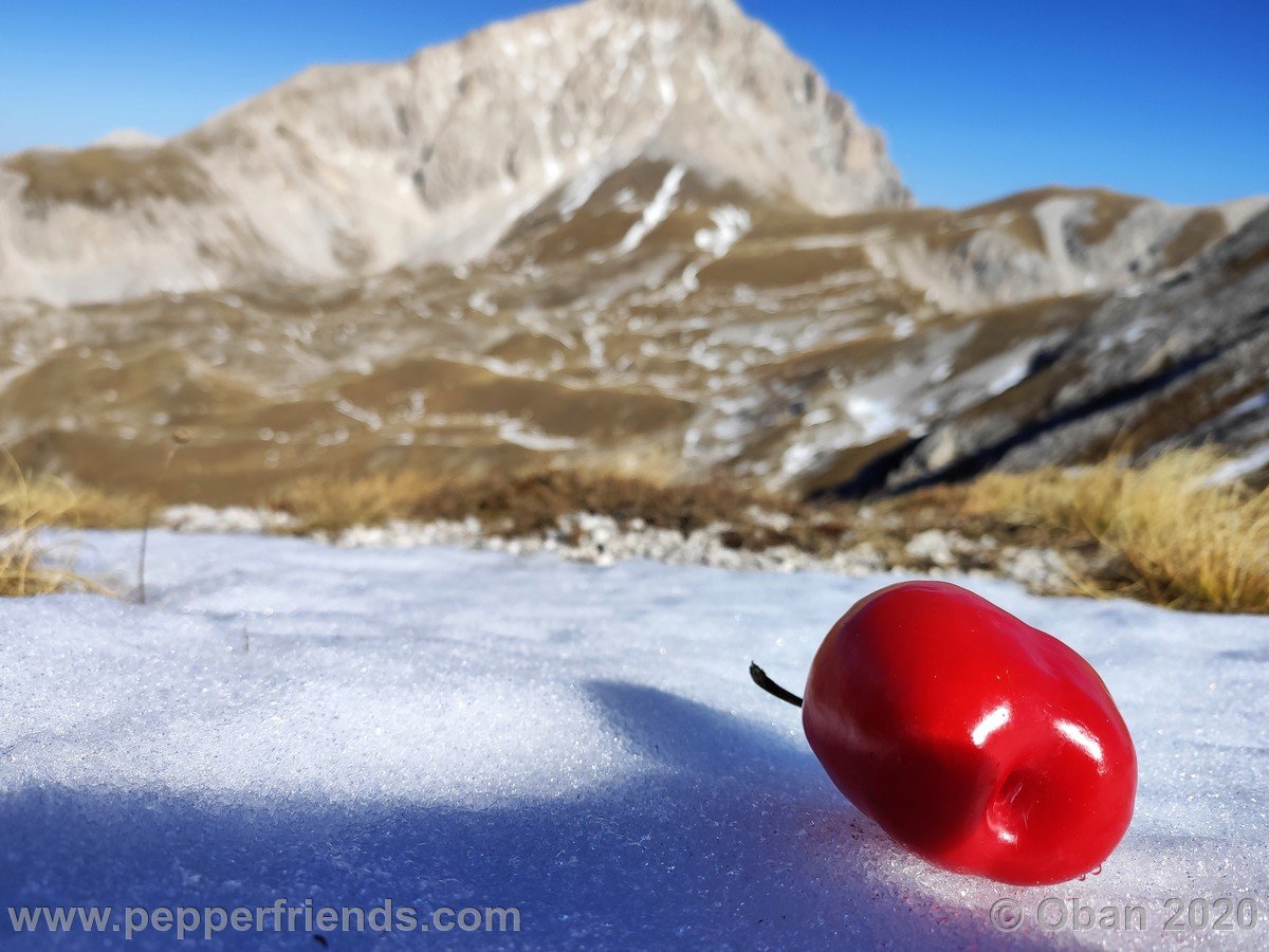 Rifugio Duca degli Abruzzi - 017.jpg