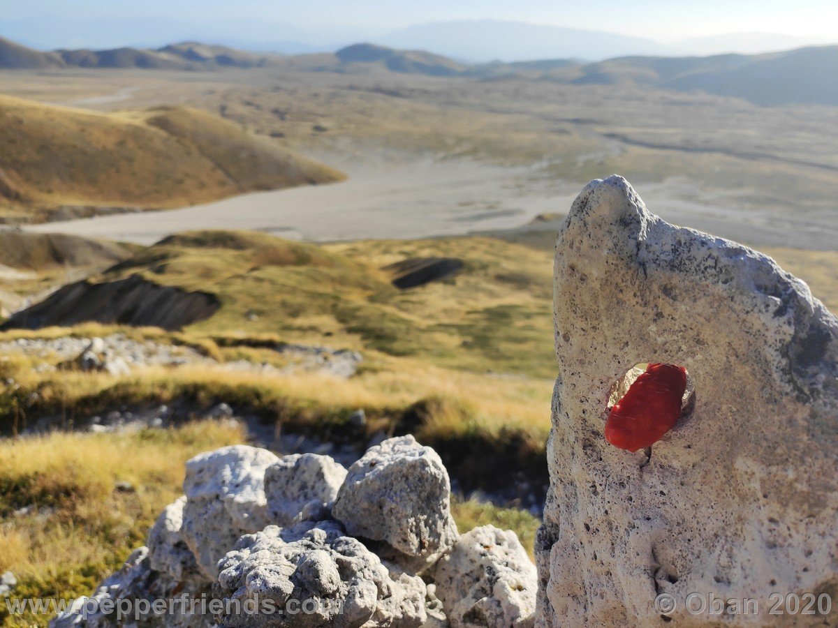 Cima Vado di Piaverano - 33.jpg