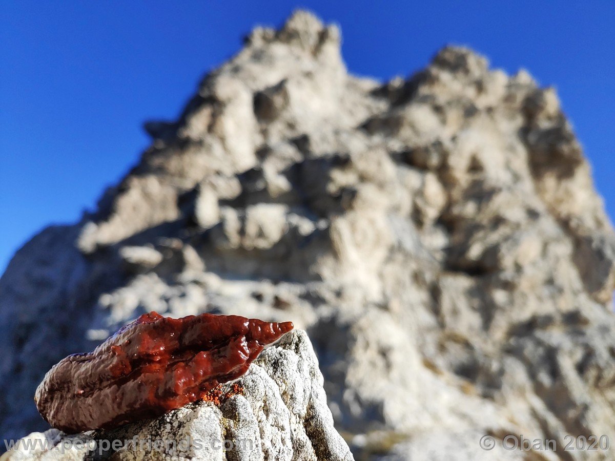 Cima Vado di Piaverano - 18.jpg