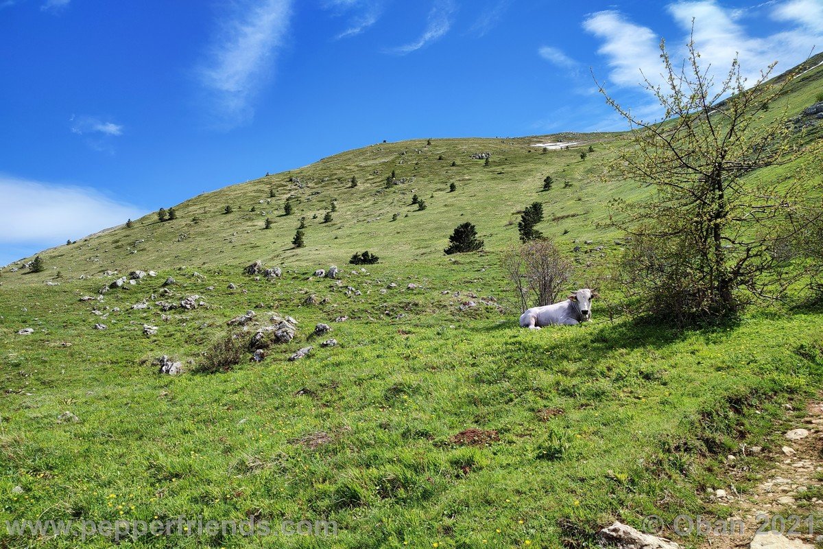 Monti di Bagno - 16.jpg