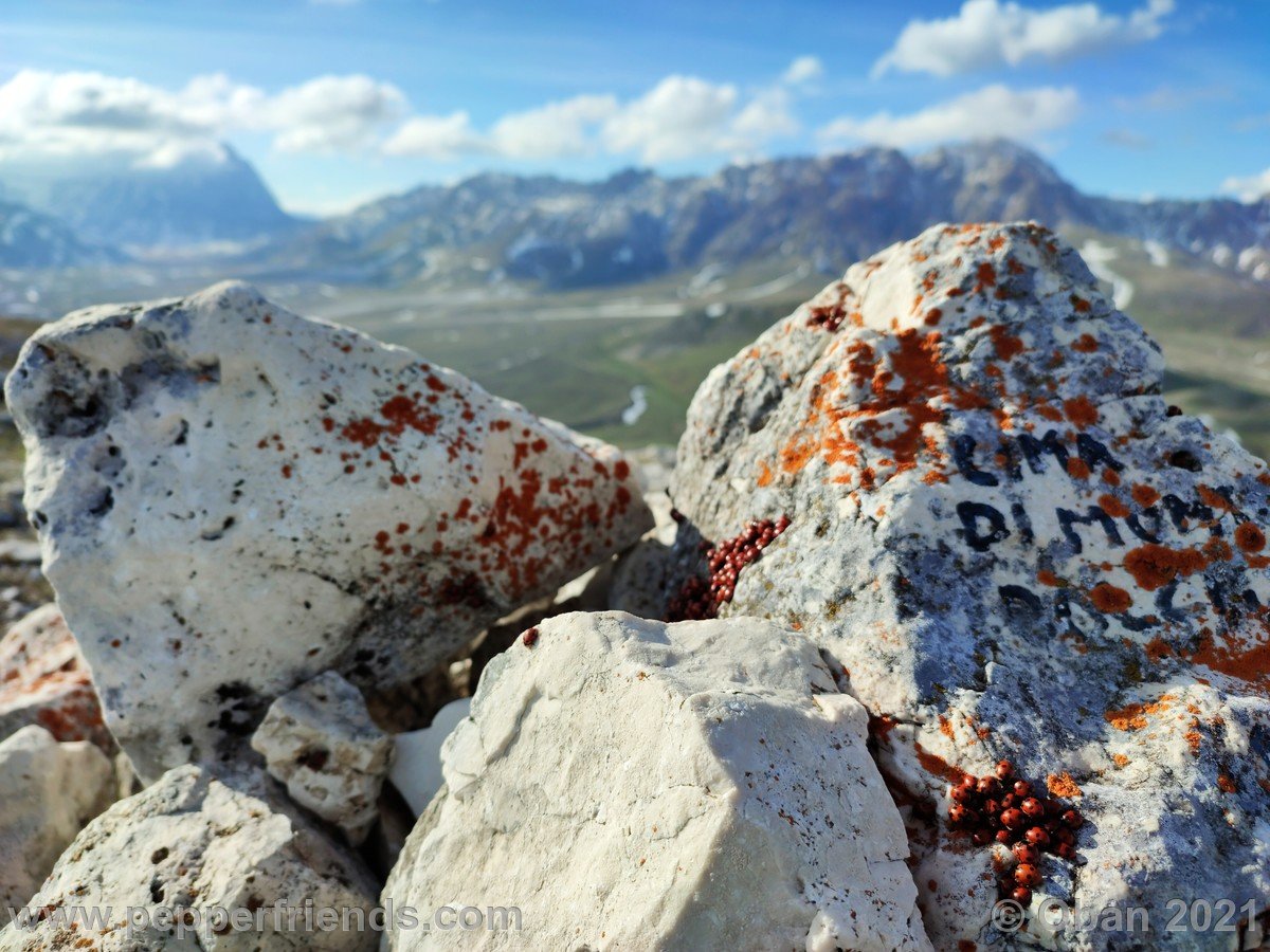 Monte Bolza e Canyon Dello Scoppaturo - 17.jpg