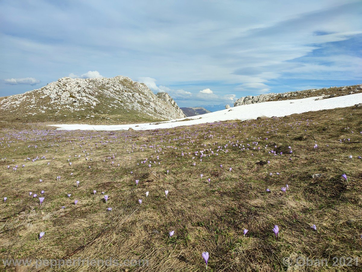 Monte Bolza e Canyon Dello Scoppaturo - 14.jpg