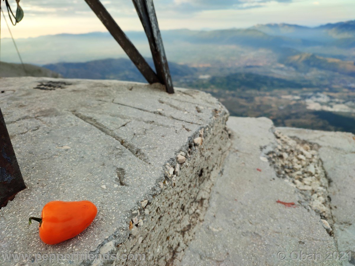 Monte Velino da Santa Maria in Valle Porclaneta - 20.jpg