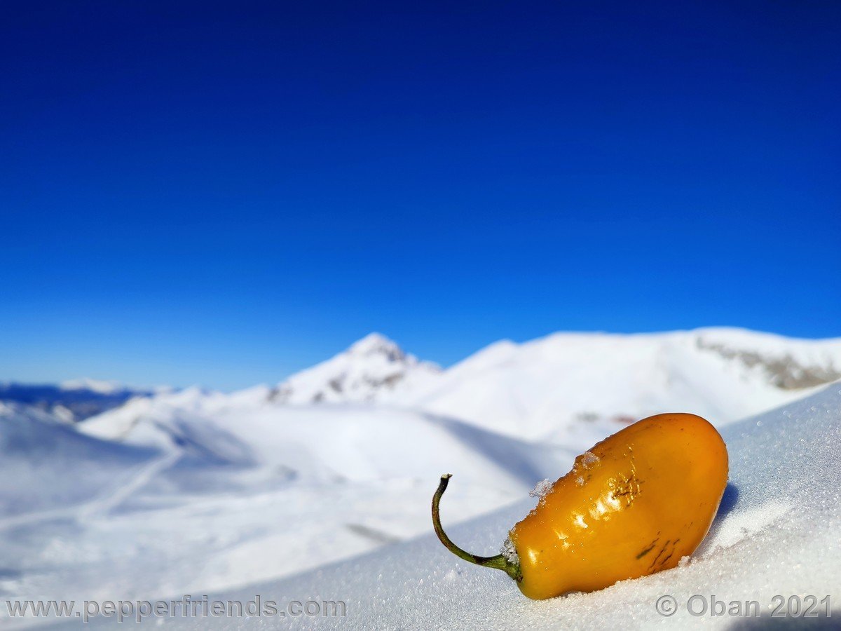 Campo Imperatore 2021 - 14.jpg