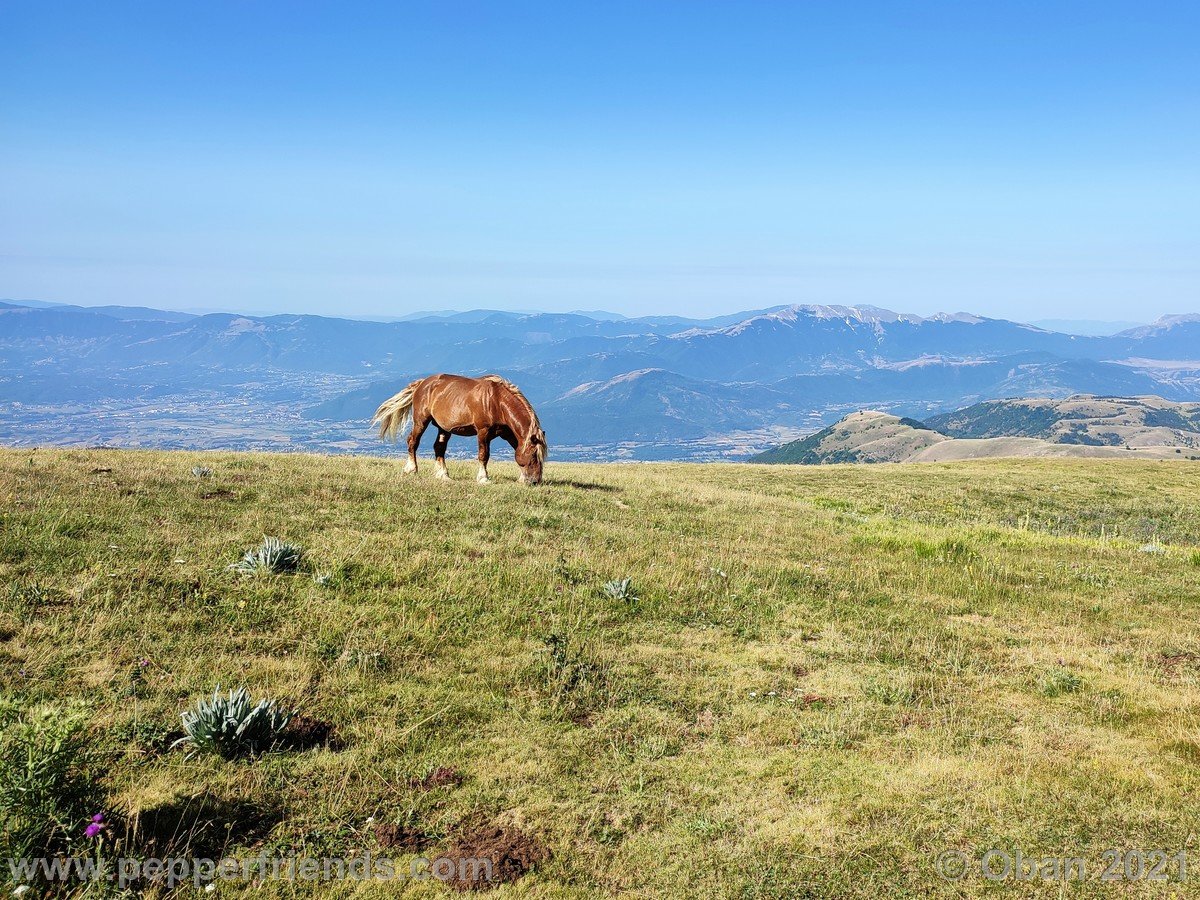 Monte San Franco - 08.jpg