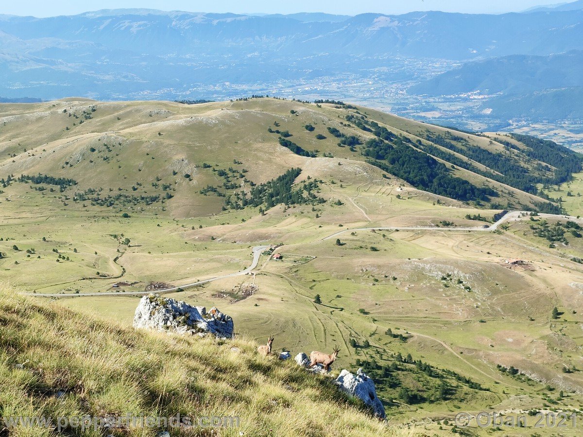 Monte San Franco - 03.jpg