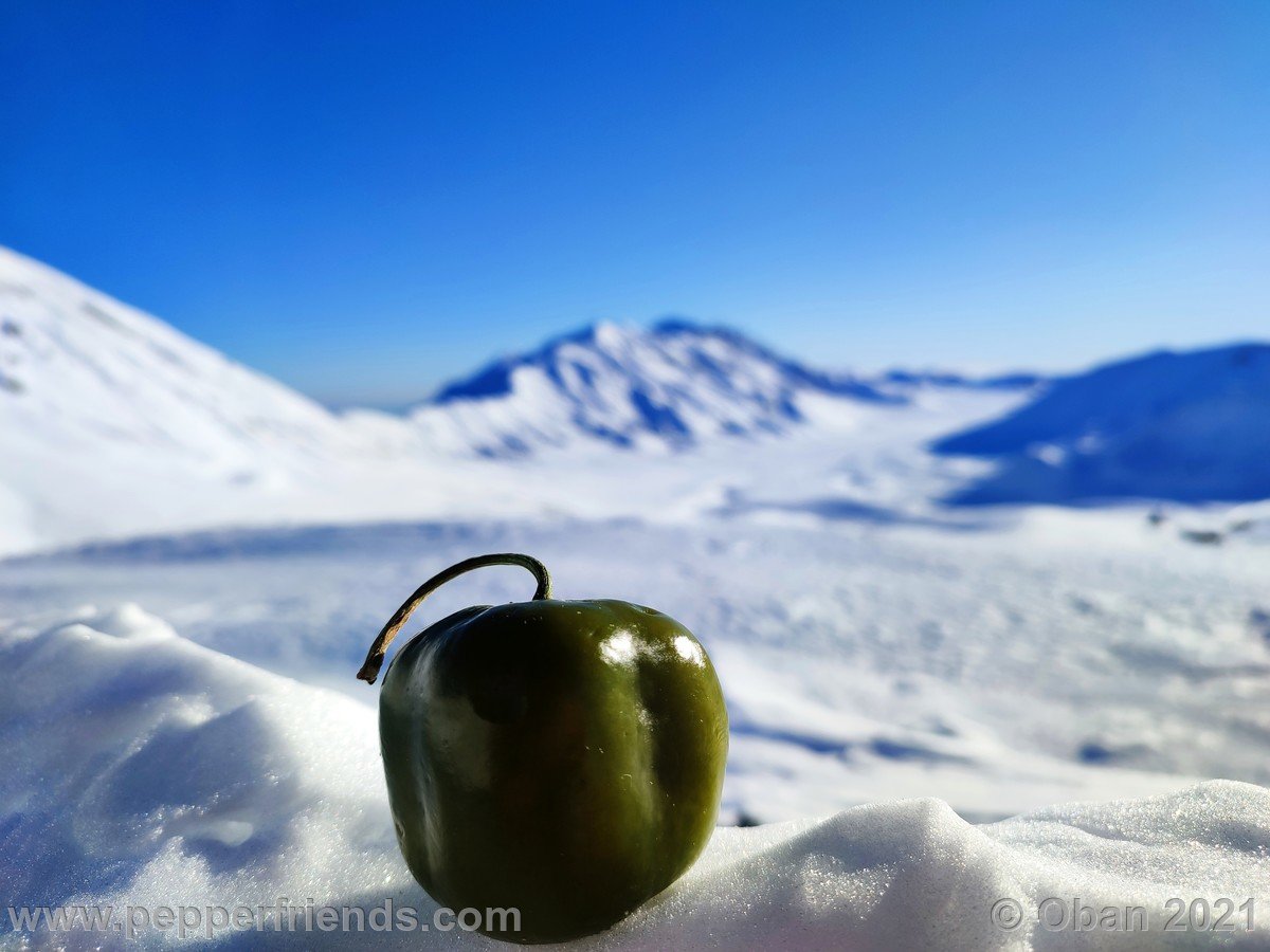 Campo Imperatore 2021 - 04.jpg