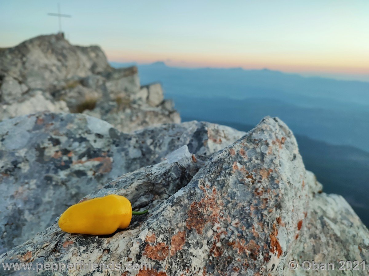 Monte Sirente - 04.jpg