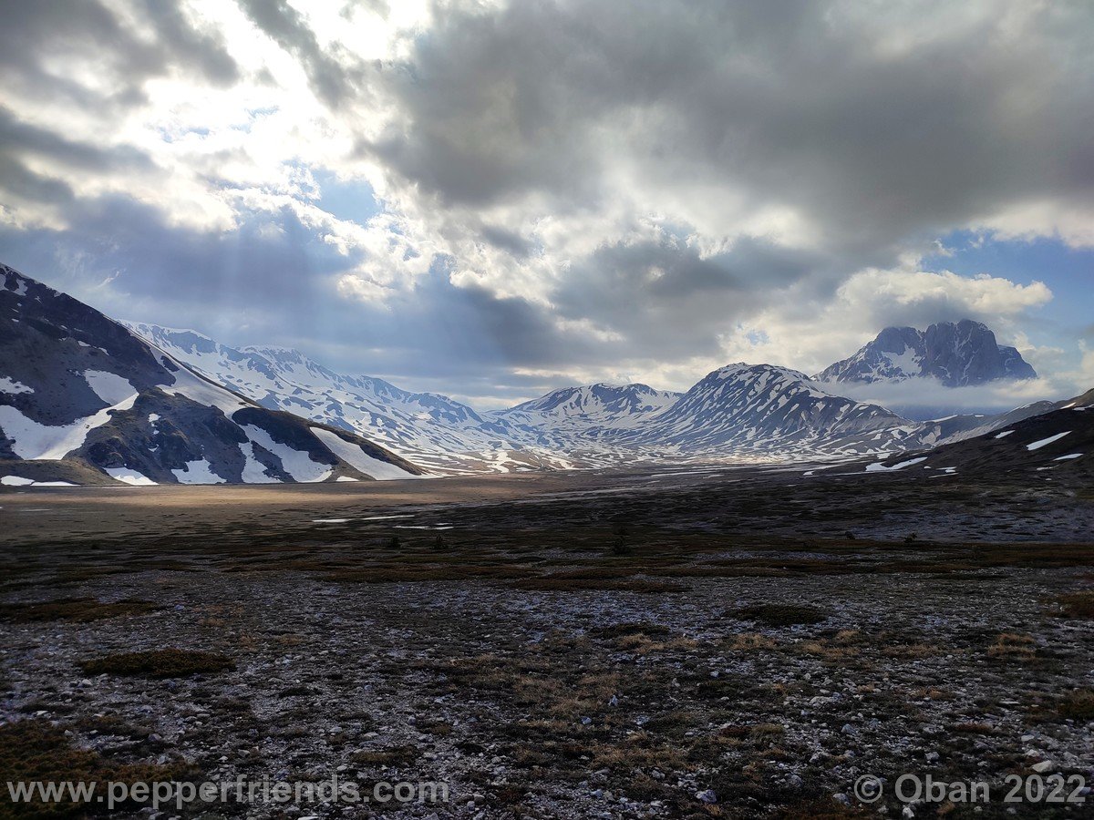 Campo Imperatore 2022 Fioritura Crocus - 4.jpg