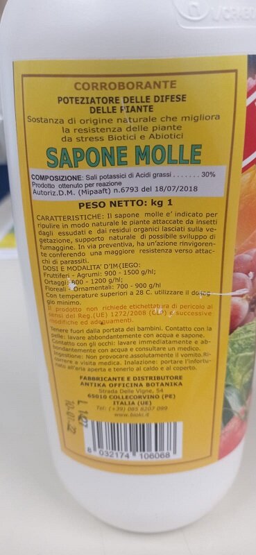 sapone2.jpg.a0920e5b6e62d10e0cca02e325a1d759.jpg