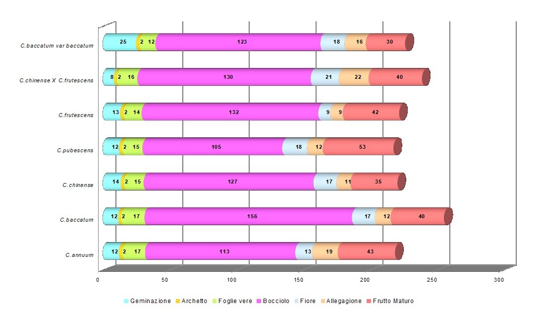 Crescita Grafico.jpg